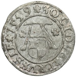 Prusy Książęce, Albrecht Hohenzollern, szeląg 1559, Królewiec