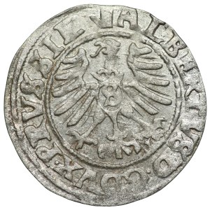Prusy Książęce, Albrecht Hohenzollern, szeląg 1559, Królewiec