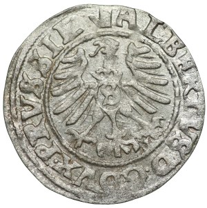 Prusy Książęce, Albrecht Hohenzollern, szeląg 1559, Królewiec