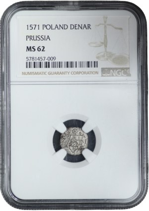 Prussia, Albrecht Hohenzollern, Denar Königsberg 1571