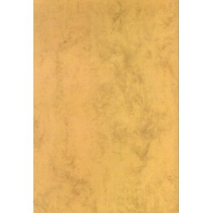Jakubowski Wojciech J. - Podręczny katalog monet Wojska Polskiego 1925 -1939, Zgierz 2017