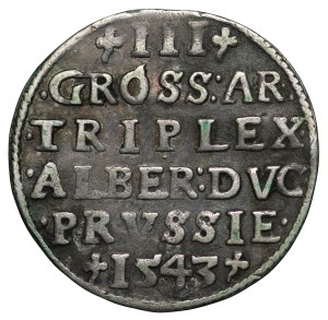 Ducal Prussia, Albrecht Hohenzollern, Troilus 1543, Königsberg