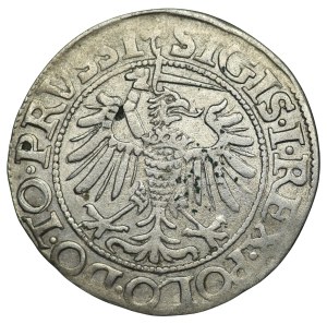 Sigismund I the Old, Penny 1539, Elbląg