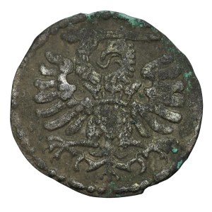 Stefan Batory, Denar 1585, Gdańsk