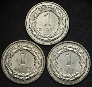 III RP, 1 złoty 1991 - zestaw 3 sztuk