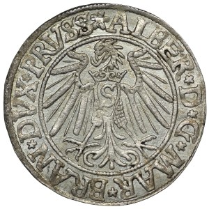 Ducal Prussia, Albert Hohenzollern, penny 1540, Königsberg