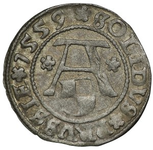 Prusy Książęce, Albrecht Hohenzollern, szeląg 1559, Królewiec