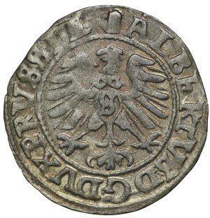 Prusy Książęce, Albrecht Hohenzollern, szeląg 1559, Królewiec
