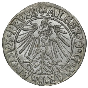 Prusy Książęce, Albert Hohenzollern, grosz 1541, Królewiec