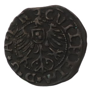 Wolne Miasto Ryga, Szeląg 1563