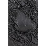 Bartosz Kokosiński (b. 1984, Siewierz), From the series Charred Images, 2012