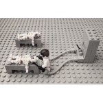 Zbigniew Libera (nato nel 1959, Pabianice), Album des KZL LEGO (portfolio - 22 opere), 2005