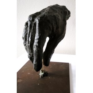 Paz Figares, Sans titre