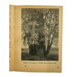 PRL, 1956 r. - Książka “Bydgoszcz i Okolice : Przewodnik-Informator”, wyd. PTTK Oddział w Bydgoszczy