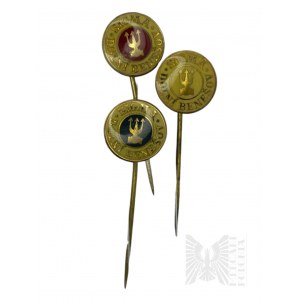 Trois pins du Klub Sigma Dolní Benešov