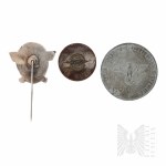Third Reich - Two Pins and a Commemorative Coin, COPY.