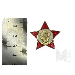 ZSRR - Young Lenin: Wpinka z Wizerunkiem Młodego Włodzimierza Lenina