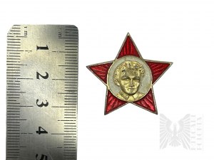 USSR - Young Lenin: Pin with Image of Young Vladimir Lenin