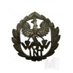 Badge Higher War College Intendant Course, COPY