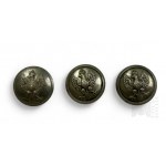 Three Eagle Buttons wz. 1923: Two Essef Alpacca (White Metal), One Signature Bronislaw Grabski Łódź