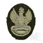 PSZnZ Embroidered Eagle On Beret Khaki KOPIA