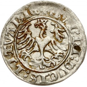 Litauen Polgrosz 1510 Vilnius