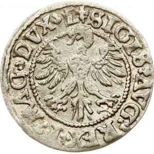 Litauen Polgrosz 1546 Vilnius