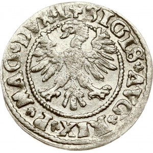 Lithuania Polgrosz 1546 Vilnius (R)