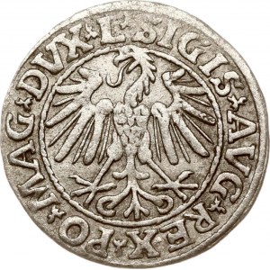 Lithuania Polgrosz 1547 Vilnius