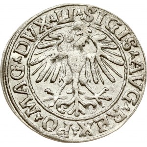 Lituanie Polgrosz 1548 Vilnius