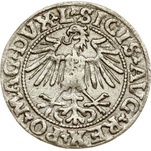 Lithuania Polgrosz 1549 Vilnius (RR)