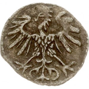 Lithuania Denar 1553 Vilnius (R3)