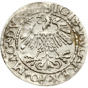 Lithuania Polgrosz 1559 Vilnius Rare Type