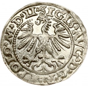 Lithuania Polgrosz 1563 Vilnius