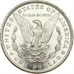 USA Morgan Dollar 1885