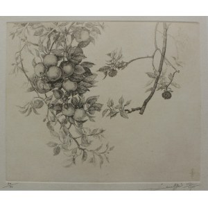 Leszek Rózga, Two twigs of apple trees