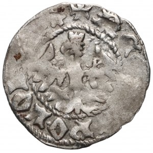 Władysław Jagiełło 1386-1434, półgrosz, Kraków, sygnatura P, rzadka interpunkcja -kółko