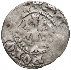 Władysław Jagiełło 1386-1434, half-penny, Cracow, signature P, rare punctuation -circle