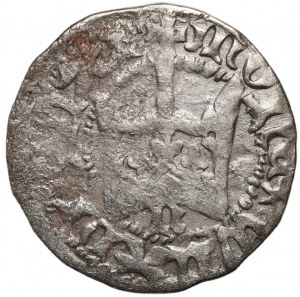 Władysław Jagiełło 1386-1434, half-penny, Kraków, reference N