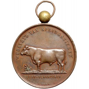 Belgium, Leopold II, medal, bull jumping competition East Flanders
