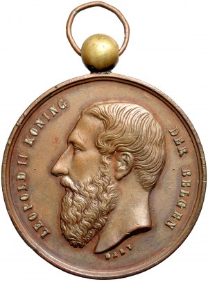 Belgium, Leopold II, medal, bull jumping competition East Flanders