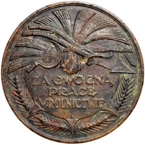 II RP, medal nagrodowy z 1926 roku, Pomorska Izba Rolnicza, Za Owocną Prace w Rolnictwie