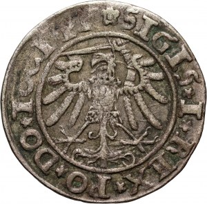 Sigismund I the Old, penny 1534, Elbląg