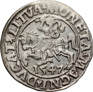 Sigismund II Augustus, half-penny 1547, Vilnius