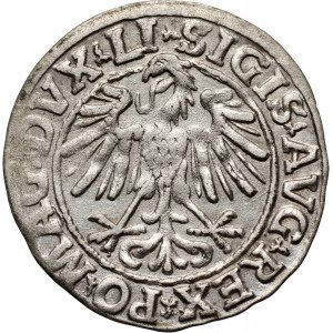 Zygmunt II August, półgrosz 1547, Wilno