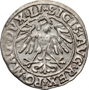 Sigismund II Augustus, half-penny 1547, Vilnius