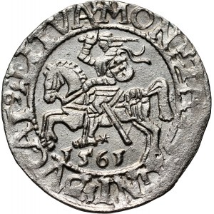 Zygmunt II August, półgrosz 1561, Wilno