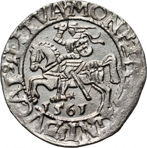 Sigismund II Augustus, half-penny 1561, Vilnius