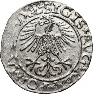Sigismund II Augustus, half-penny 1561, Vilnius