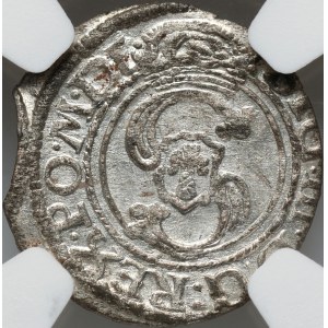 Zygmunt III Waza, szeląg 1624, Wilno
